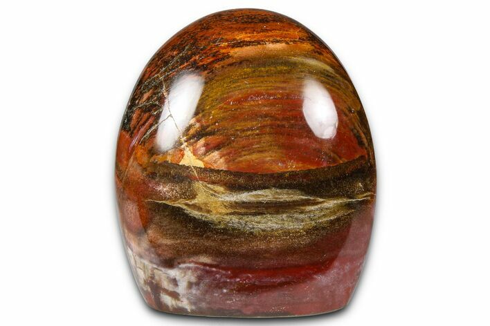 Free-Standing, Polished Petrified Wood - Madagascar #376107